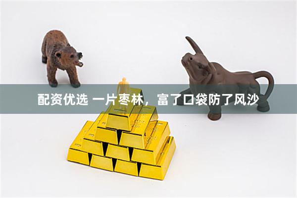 配资优选 一片枣林，富了口袋防了风沙