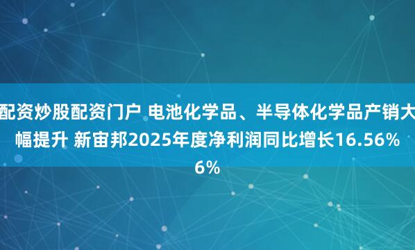 配资炒股配资门户 电池化学品、半导体化学品产销大幅提升 新宙邦2025年度净利润同比增长16.56%