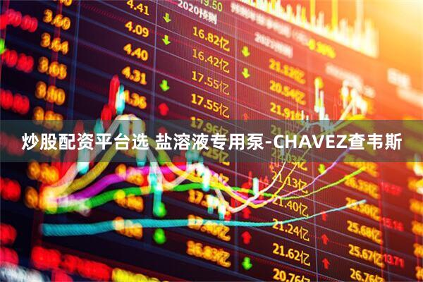 炒股配资平台选 盐溶液专用泵-CHAVEZ查韦斯
